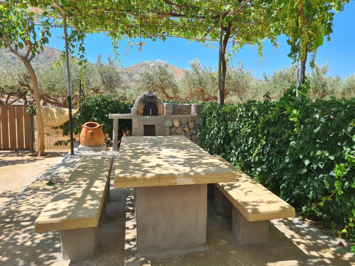Pause Serenity House Into Olive Groves Agios Fotios Extérieur photo